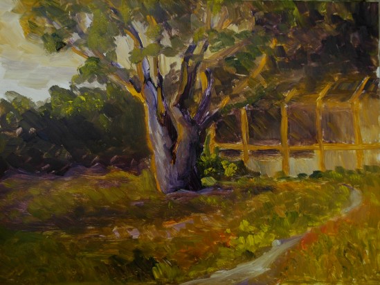 Mary's Mahogany Tree