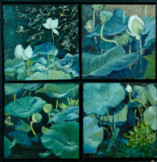 Lotus Studies 13x13 $265