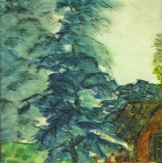 A View of the Forest