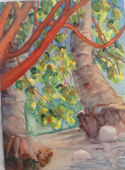 Within a shelter created by natural canopy