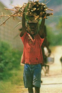 Haitian boy, photo
