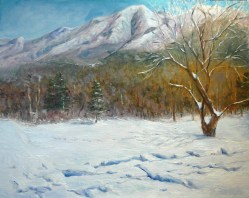 Franconia Notch 2011