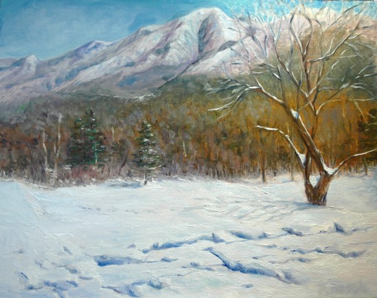 Franconia Notch 2011