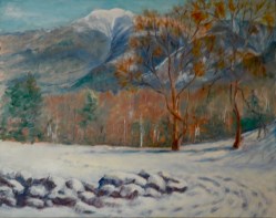 Franconia Notch 2010