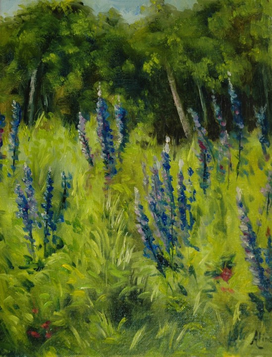 Lupines in Crawford Notch