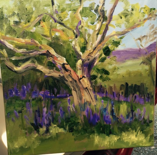 Flo's Sugar Hill lupines